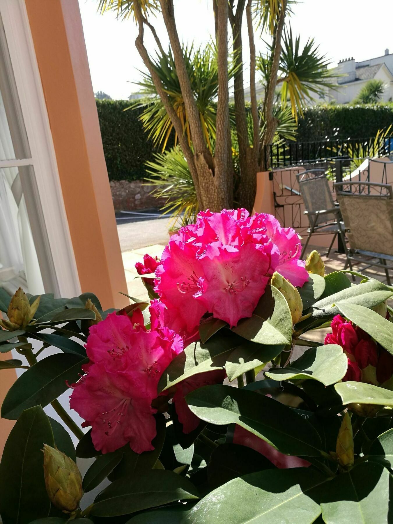 The Devon Court Otel Torquay Dış mekan fotoğraf